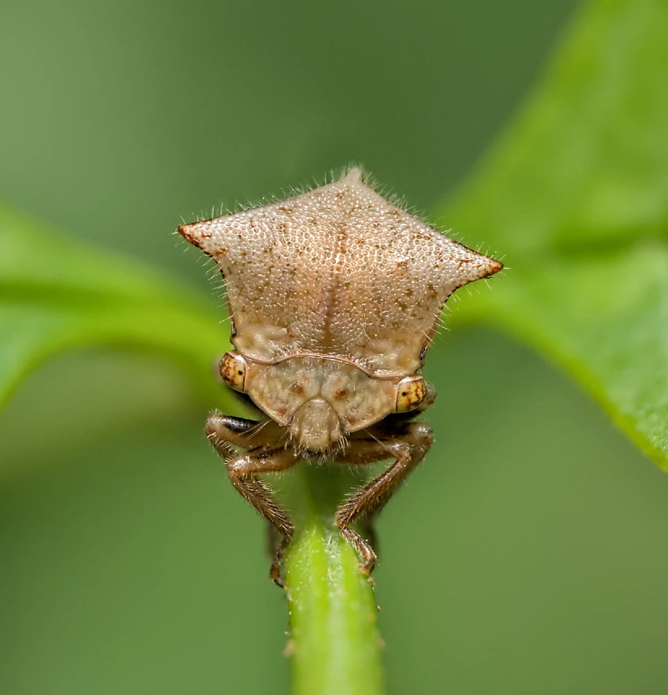 GIF uploaded by Logan