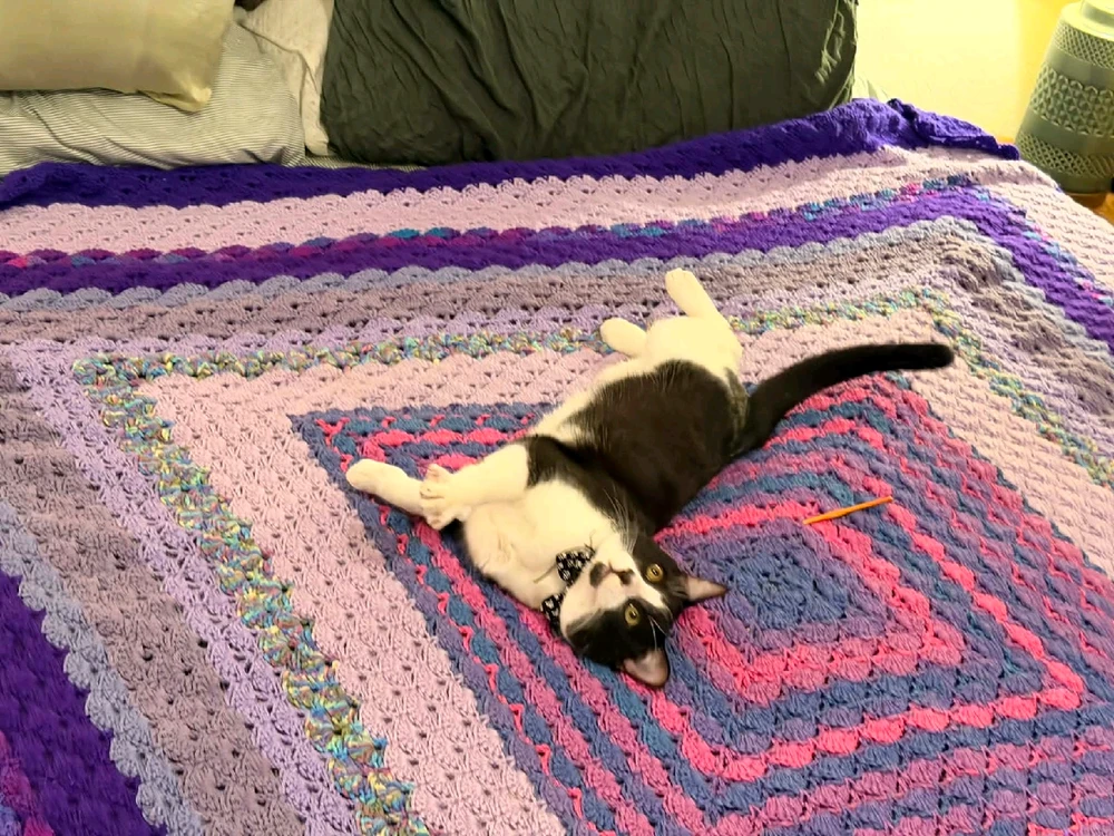 GIF diunggah dening Amanda