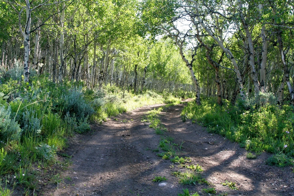 GIF uploaded by Steven