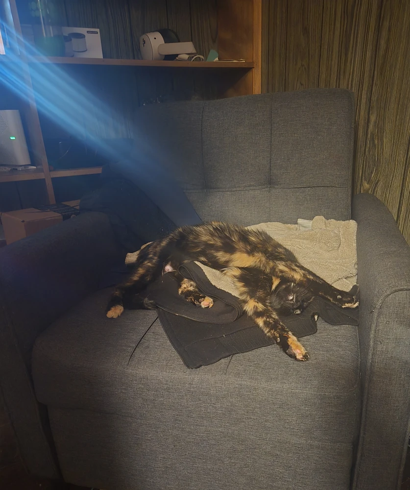 Image uploaded by Alexis