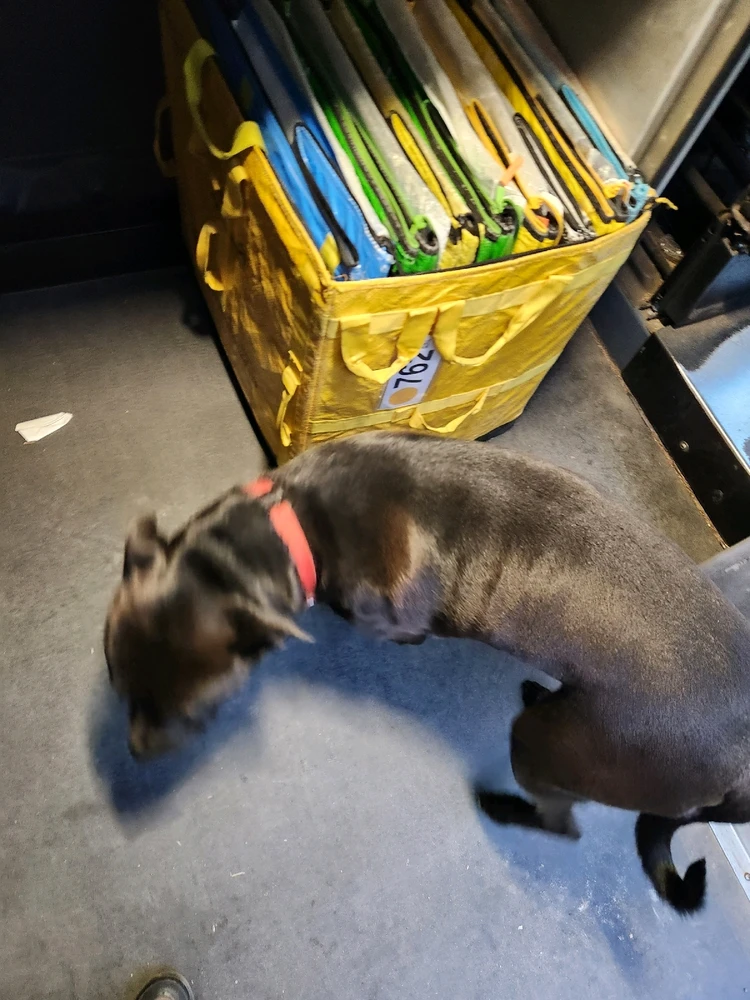 Image uploaded by Patt Castellanos