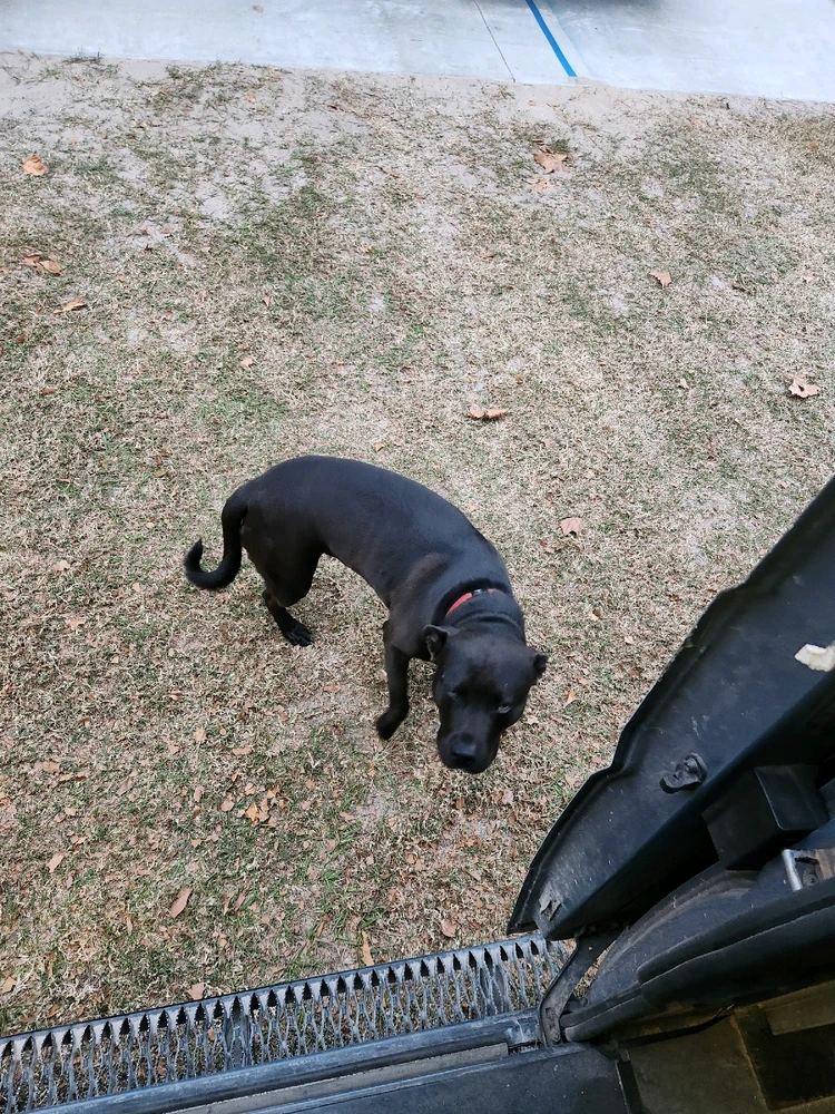 Image uploaded by Patt Castellanos