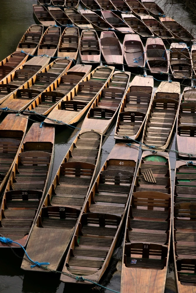 Image uploaded by Chris