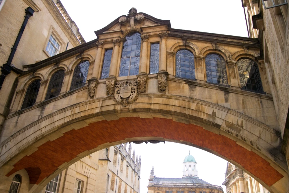 Image uploaded by Chris