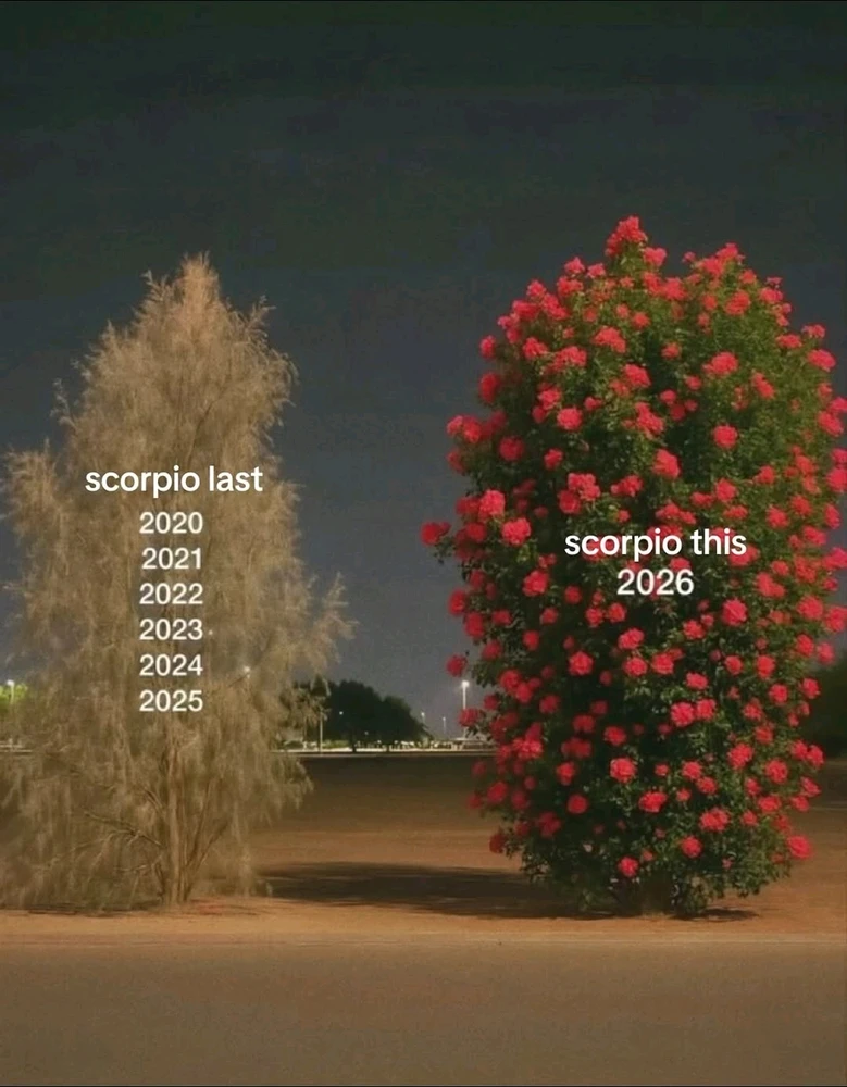 GIF caricata da 𝘎𝘪𝘢𝘱 ✨️