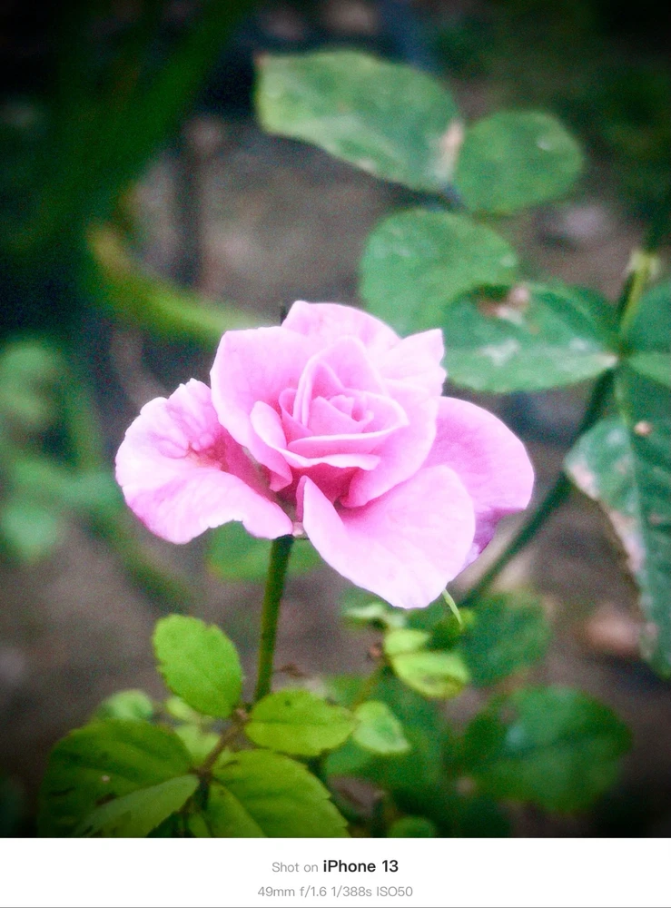 Image uploaded by Atharva