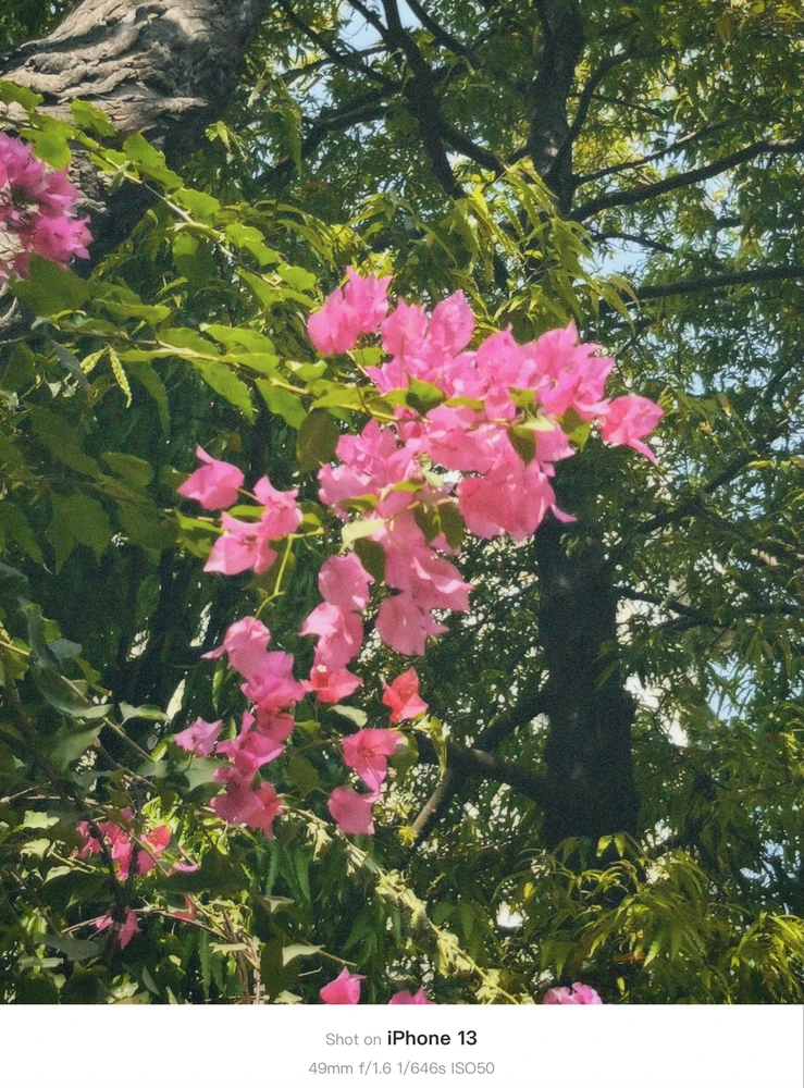 Image uploaded by Atharva