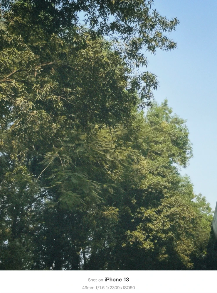 Image uploaded by Atharva