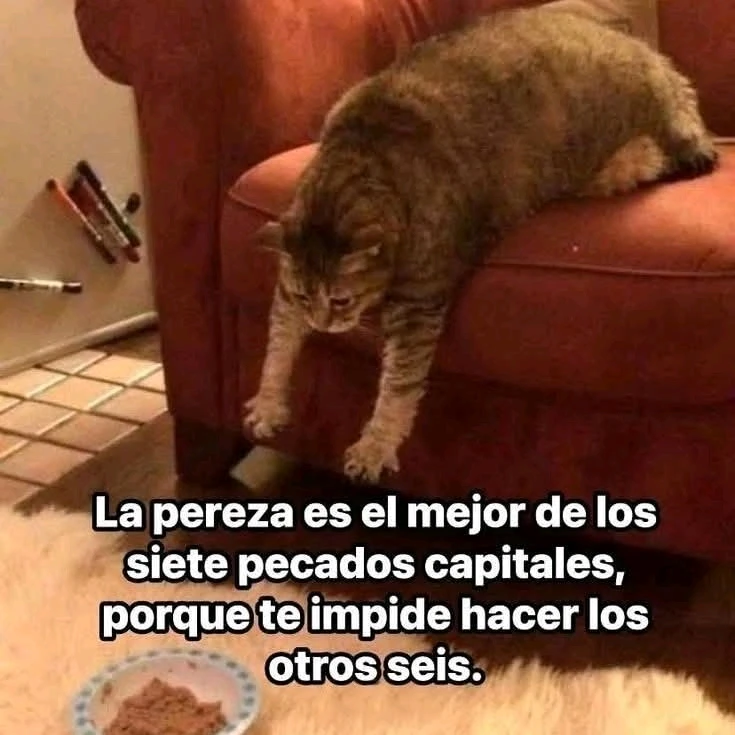 GIF subido por Abejita Brillante