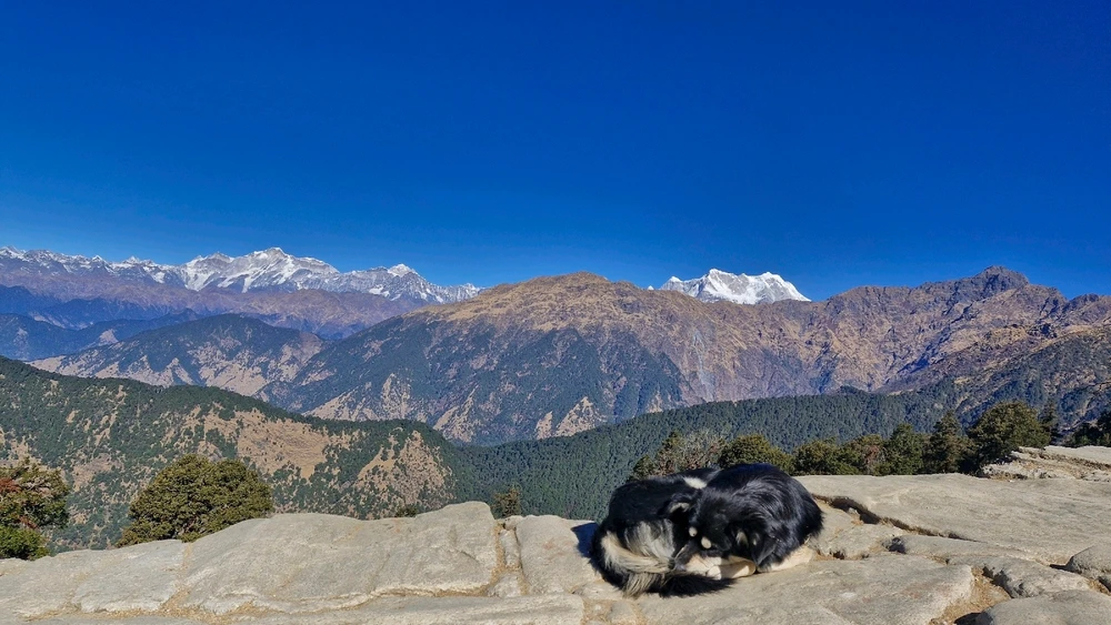 Image uploaded by Shreyansh