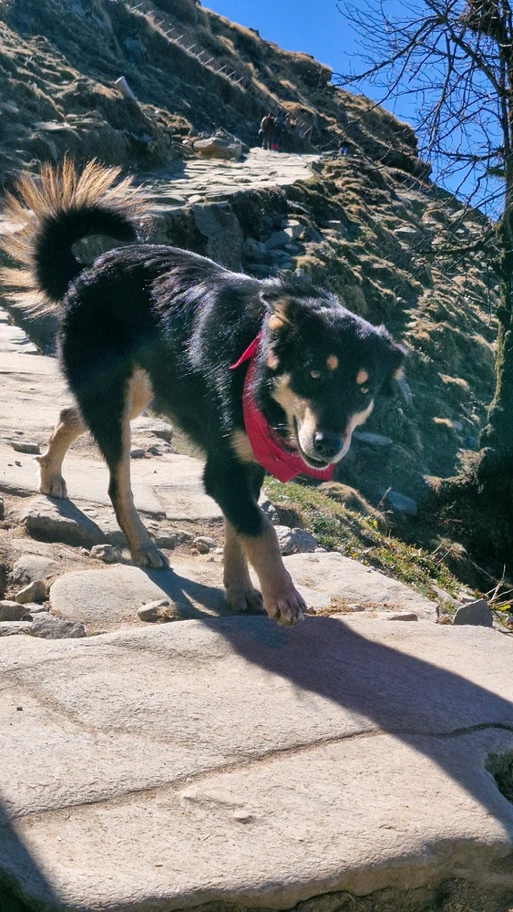 Image uploaded by Shreyansh