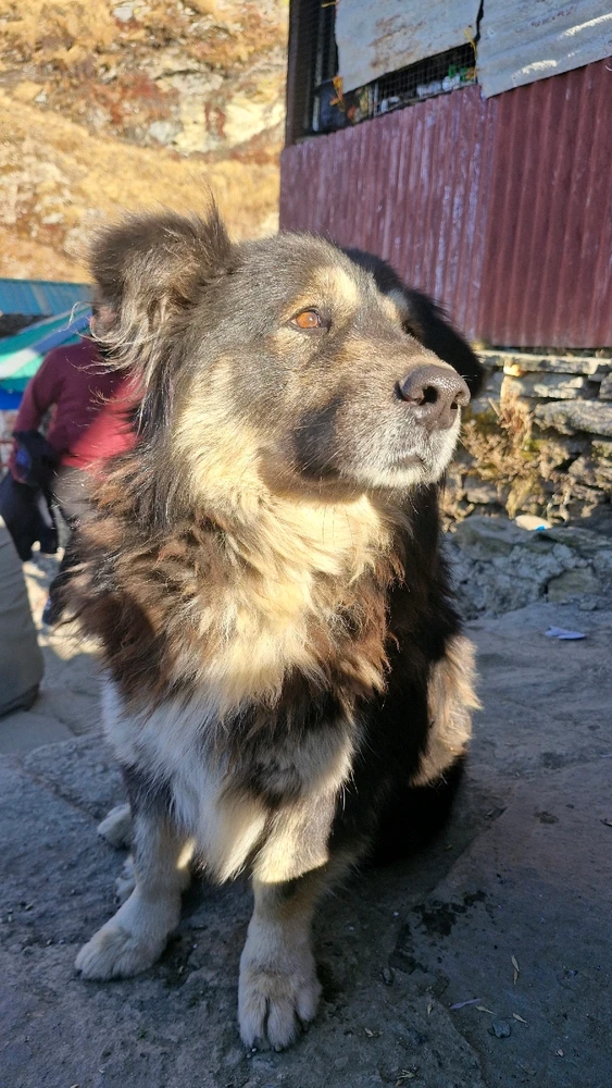 Image uploaded by Shreyansh