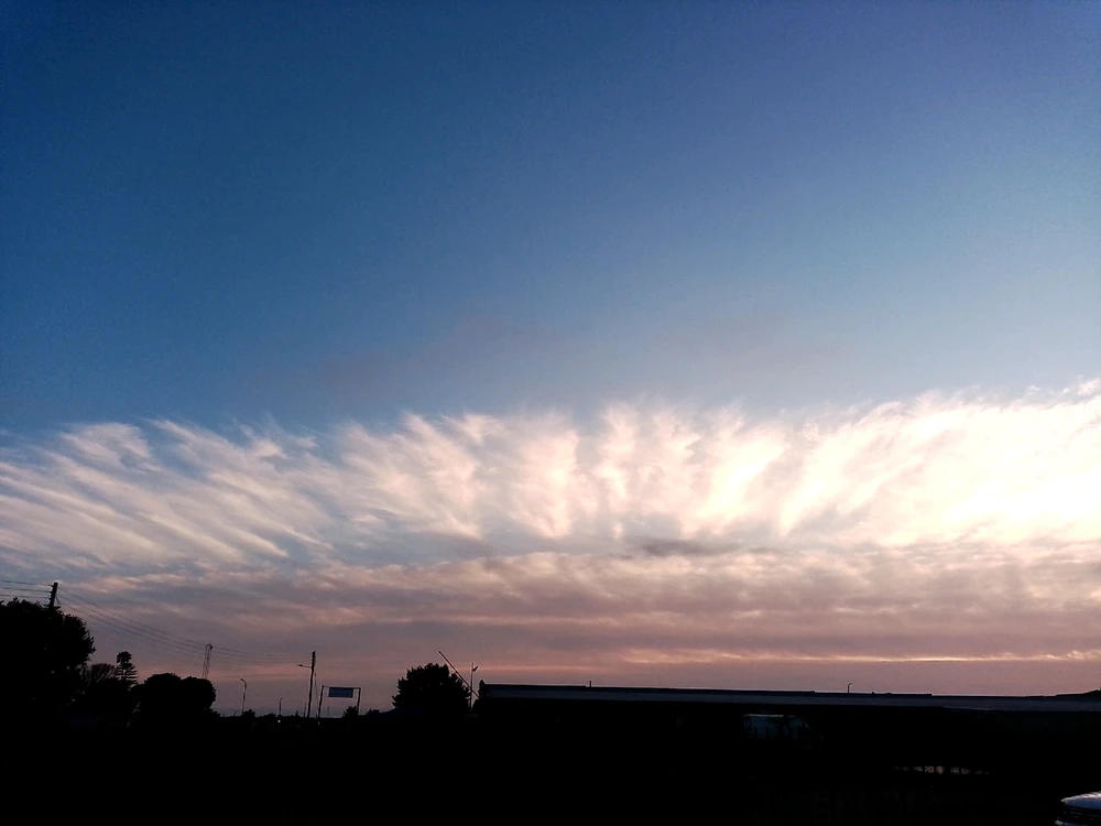 Image uploaded by Daniel