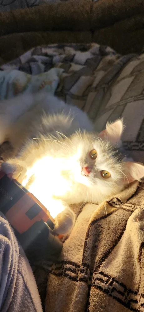 GIF uploaded by Ірина