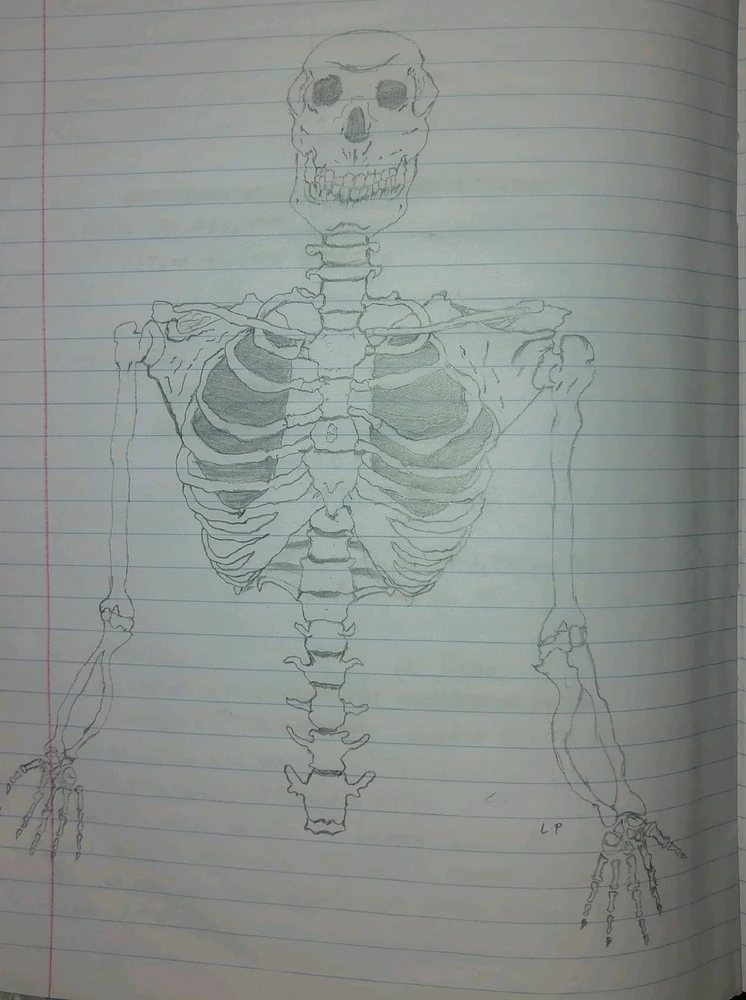 Gambar diunggah dening Wanga