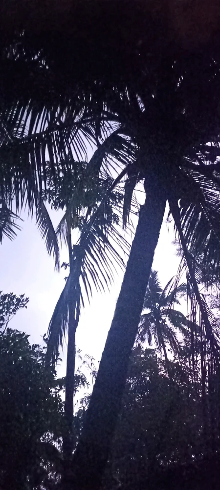 GIF uploaded by Siddhant