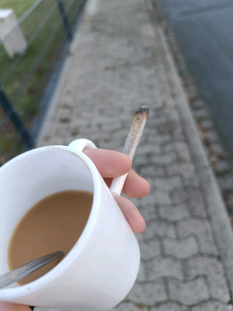 GIF hochgeladen von Dustin