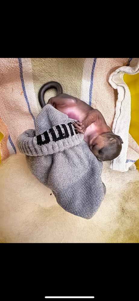 Bild hochgeladen von Angi