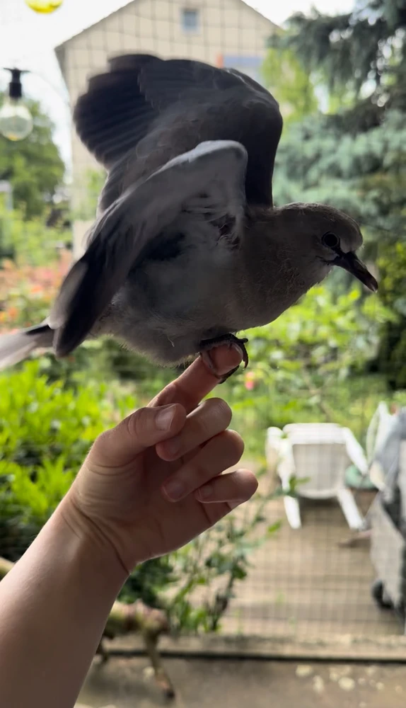 Bild hochgeladen von Angi