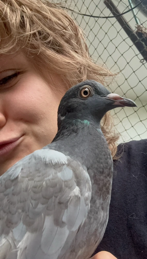 Bild hochgeladen von Angi