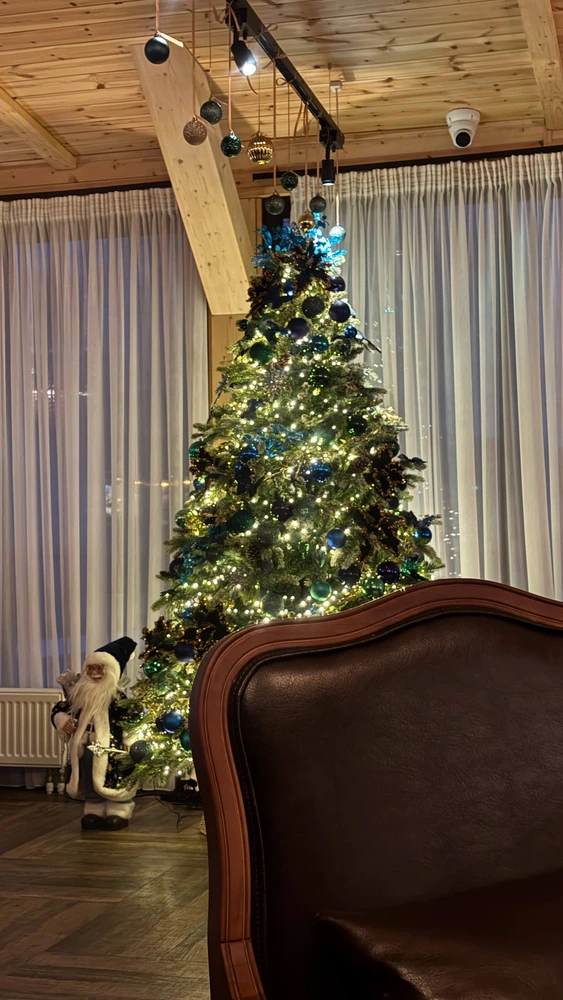 Gambar diunggah dening Eve