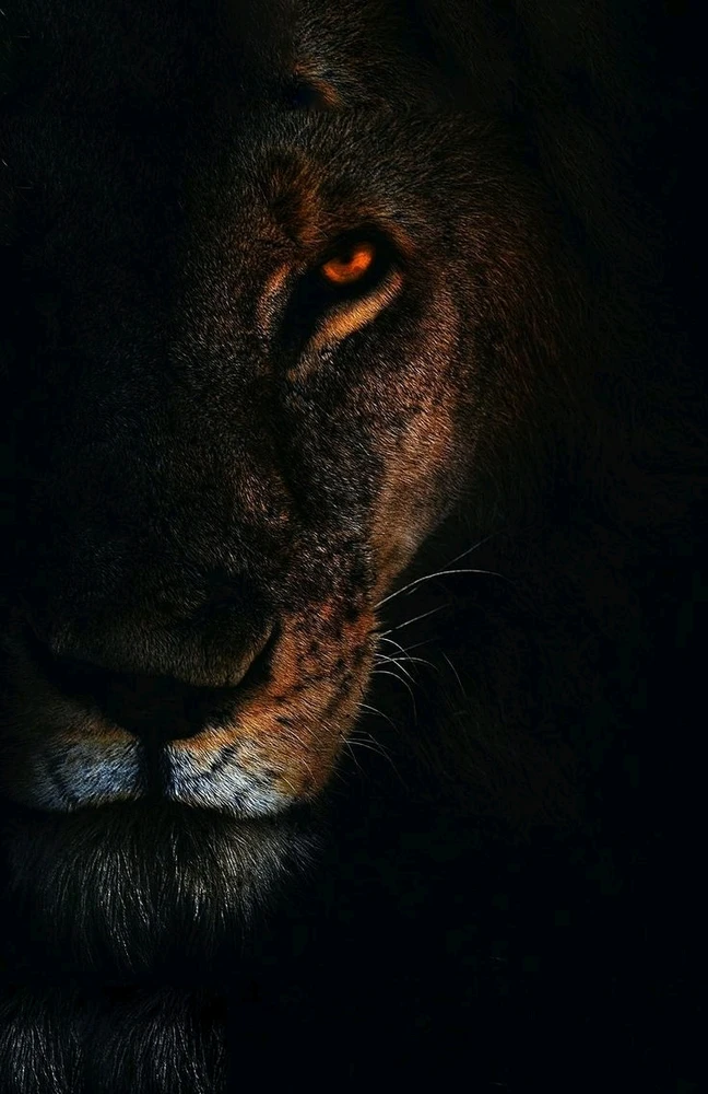 GIF caricata da Giuseppe