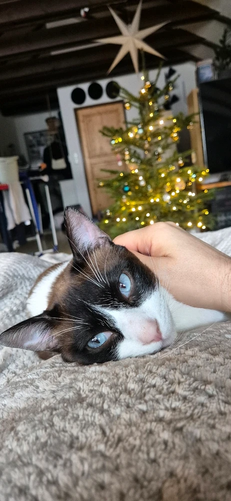 Bild hochgeladen von đŸđđđ