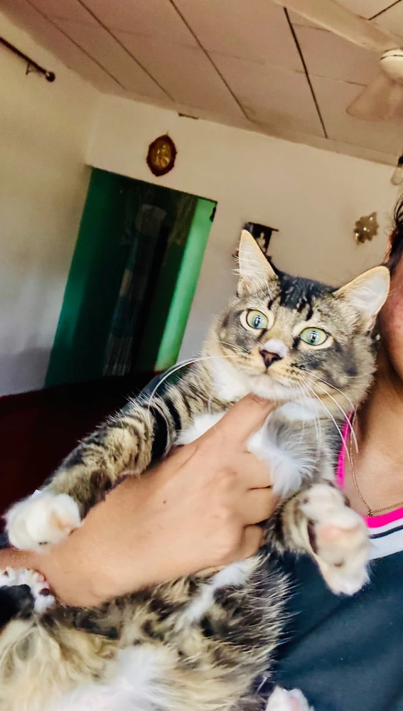 GIF diunggah dening Sara’s