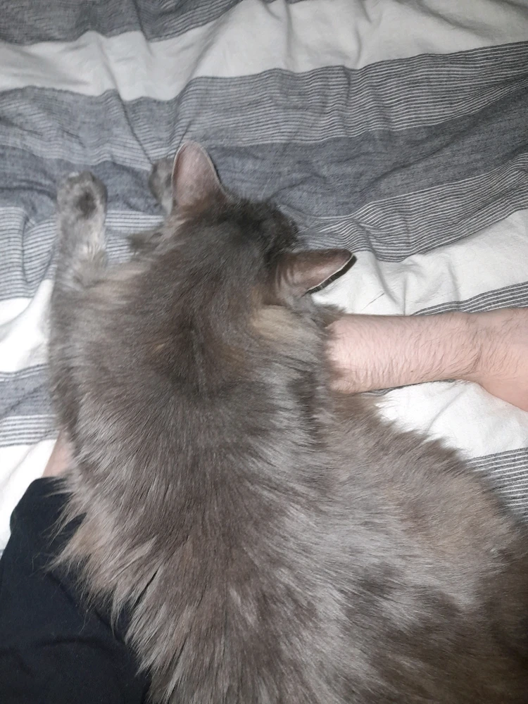 GIF diunggah dening Kurt