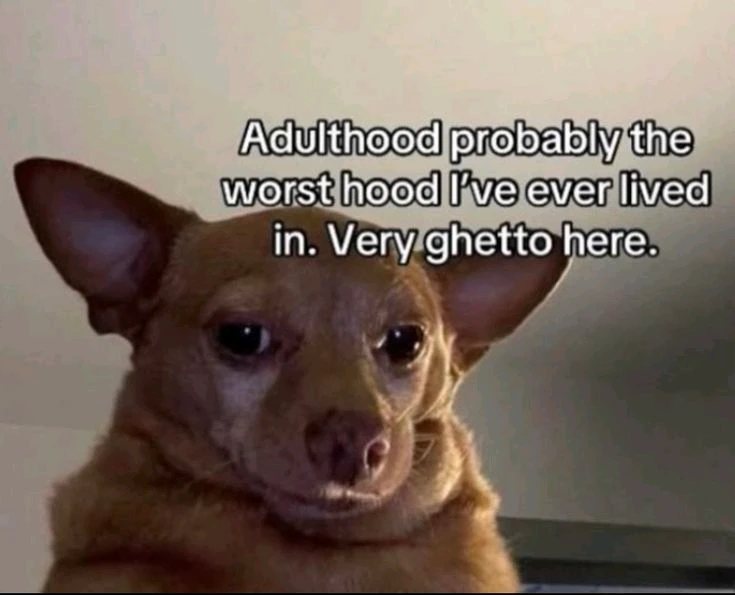 GIF uploaded by JULIETTE