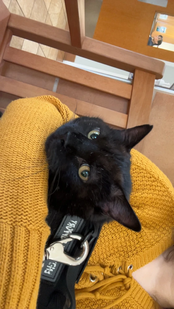 GIF diunggah dening Nikki