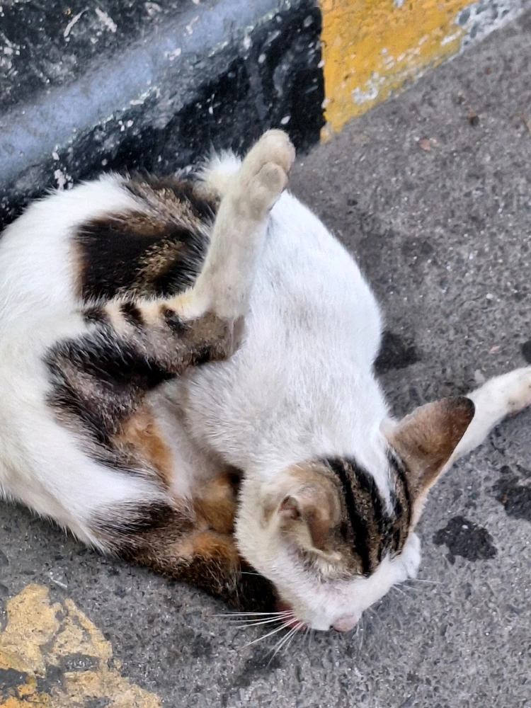 GIF diunggah dening Anda