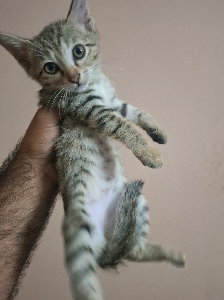 GIF diunggah dening Yash