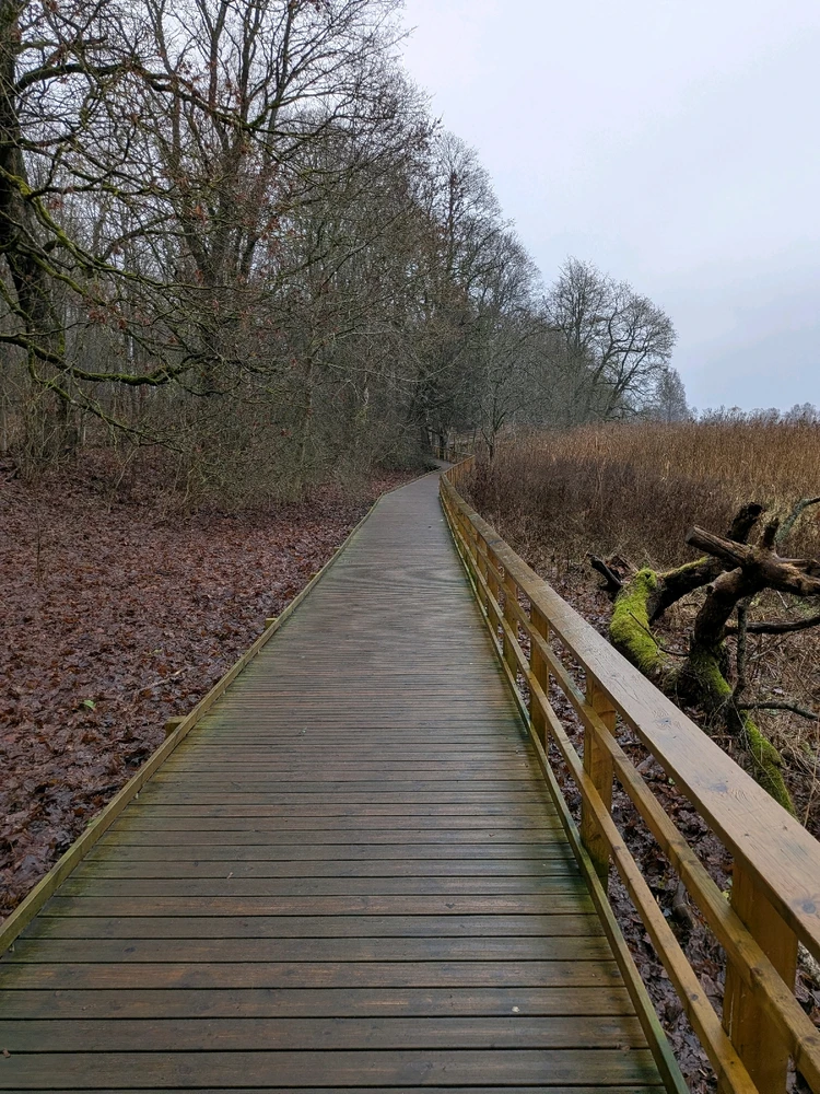 Image uploaded by Mykyta