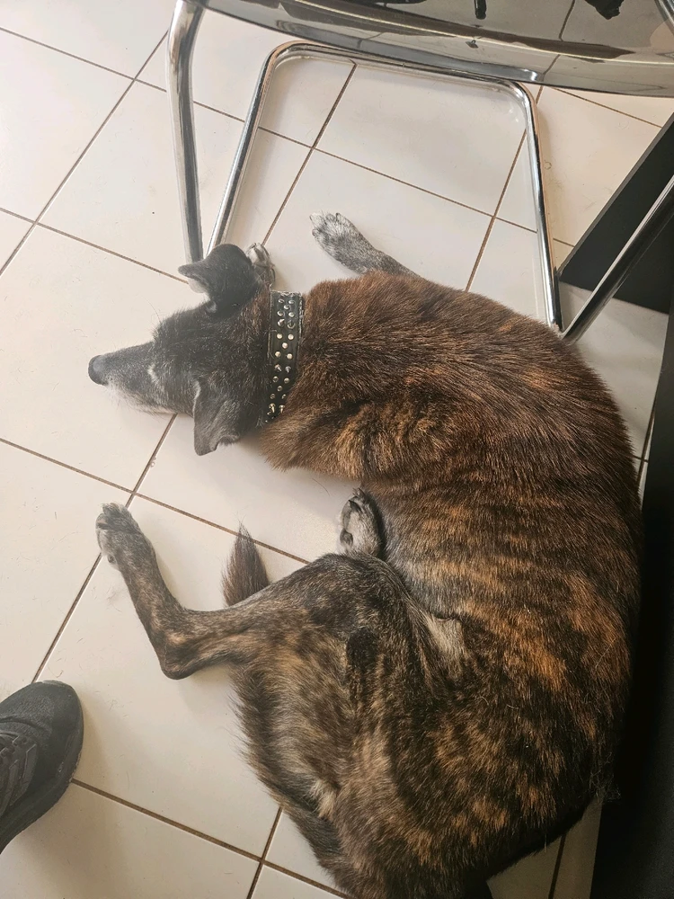 GIF ανέβηκε από Αλέξανδρος