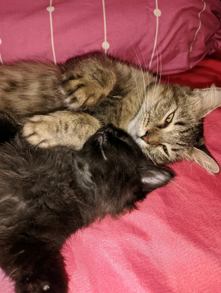 GIF diunggah dening Jiaa