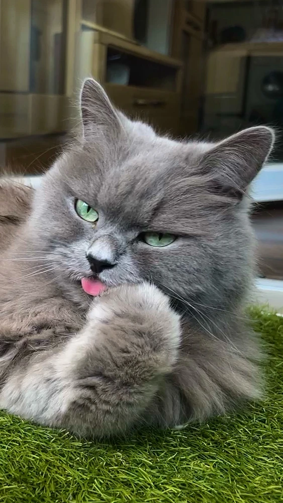 Bild hochgeladen von Mario