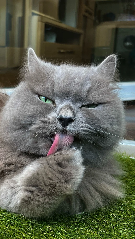 Bild hochgeladen von Mario