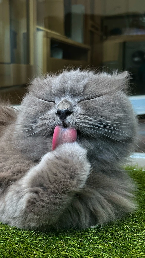 Bild hochgeladen von Mario