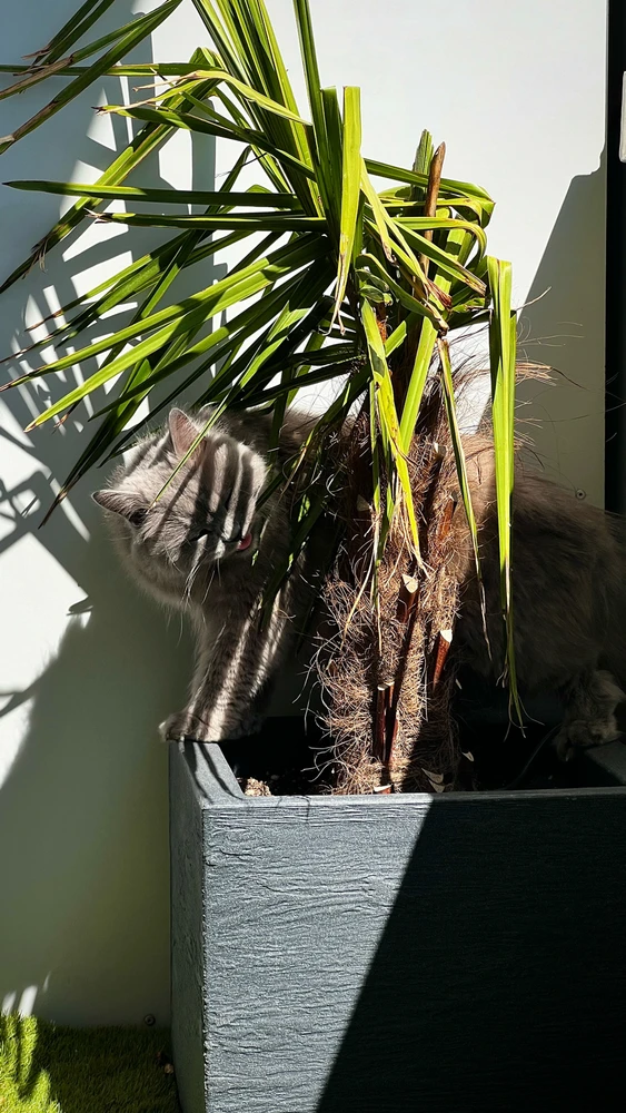 Bild hochgeladen von Mario