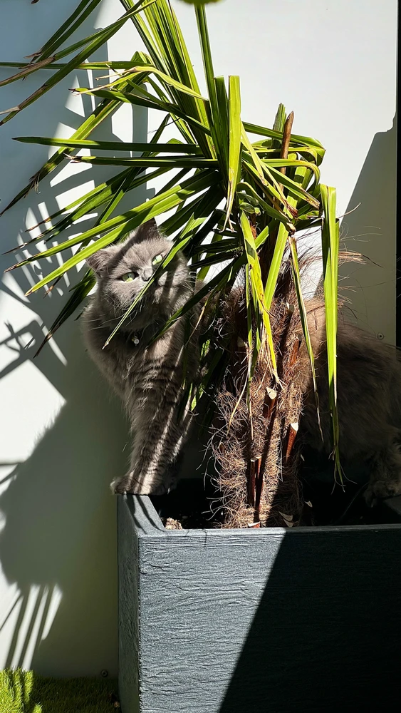 Bild hochgeladen von Mario