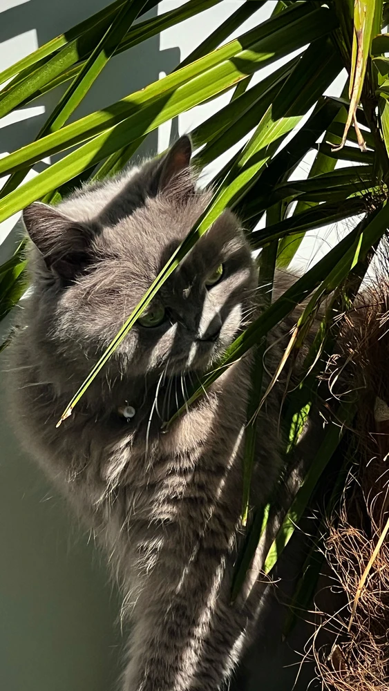 Bild hochgeladen von Mario