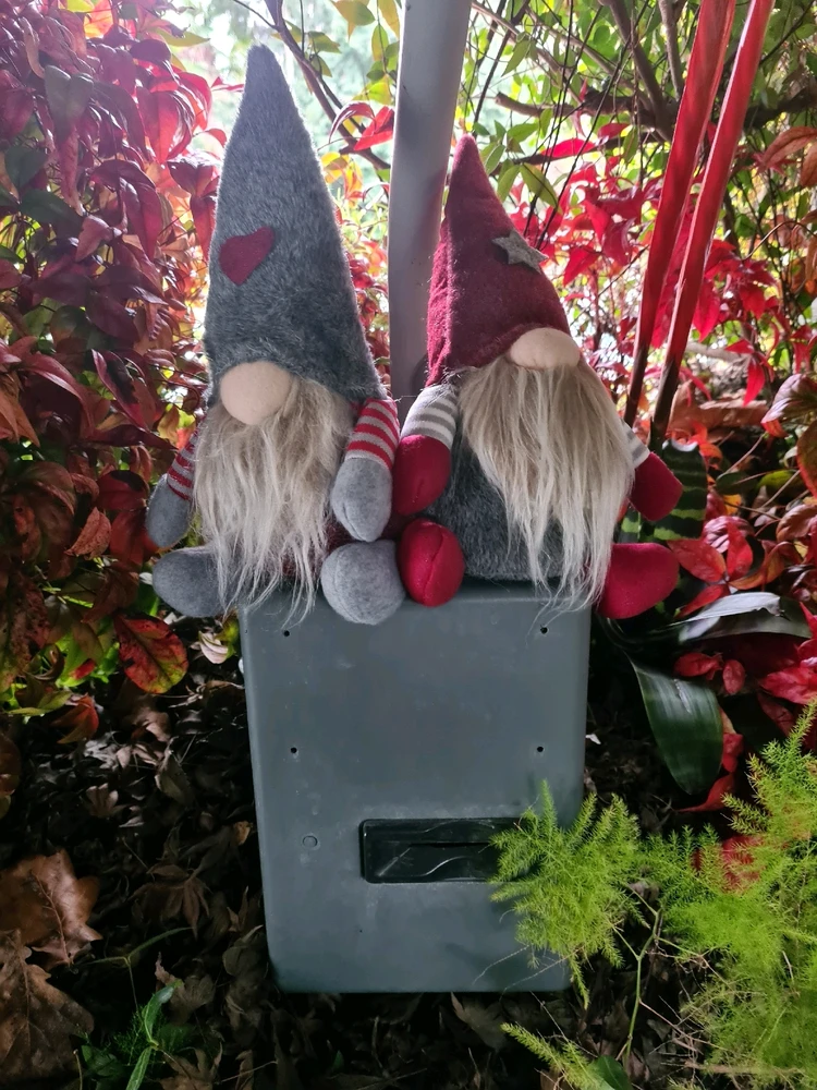 Immagine caricata da Gabrio