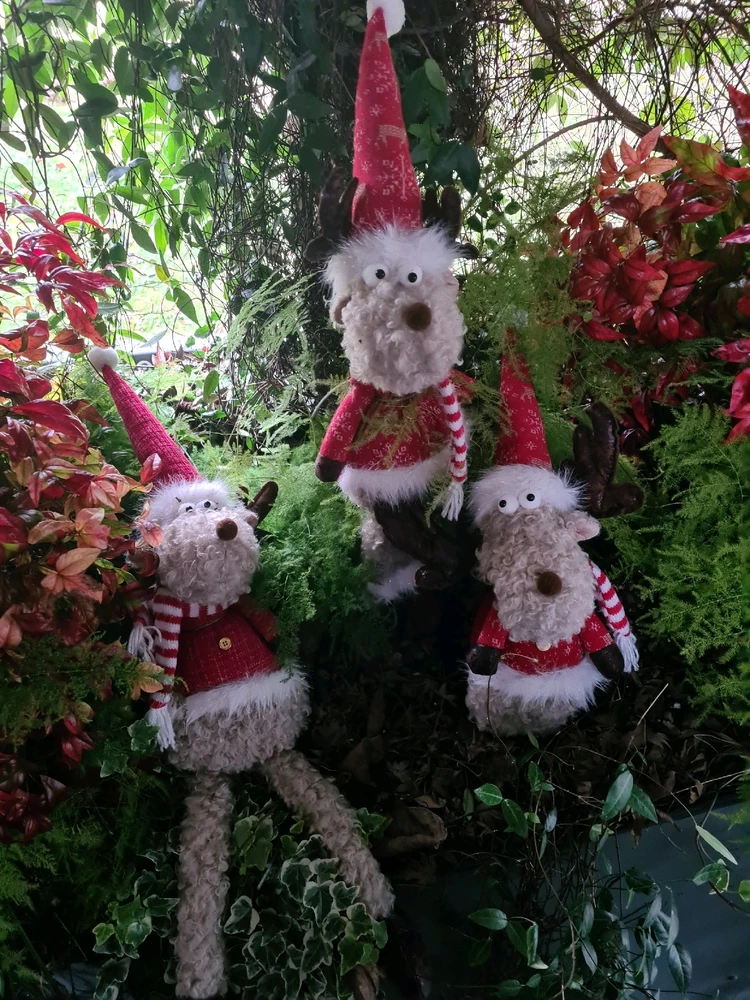 Immagine caricata da Gabrio