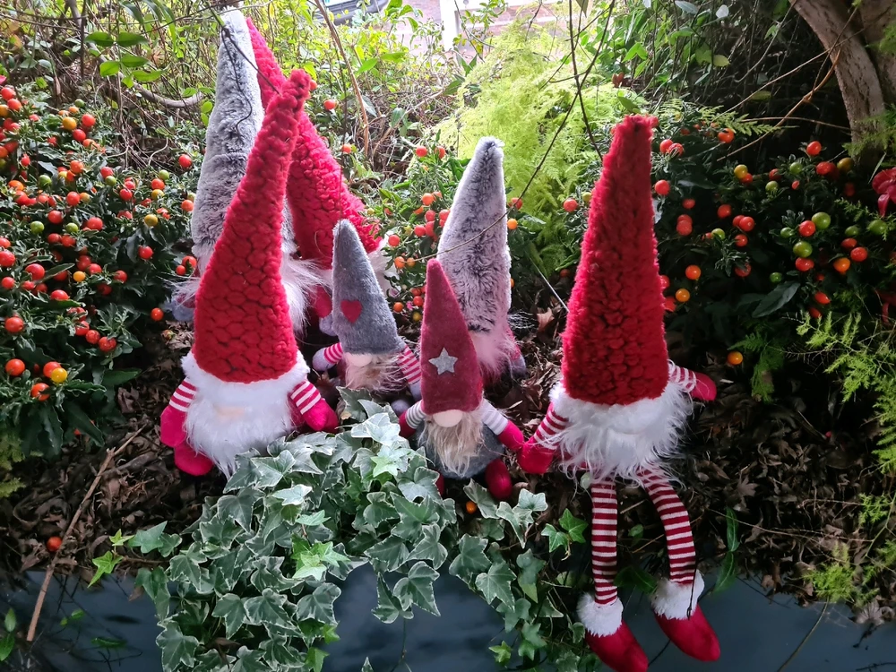 Immagine caricata da Gabrio