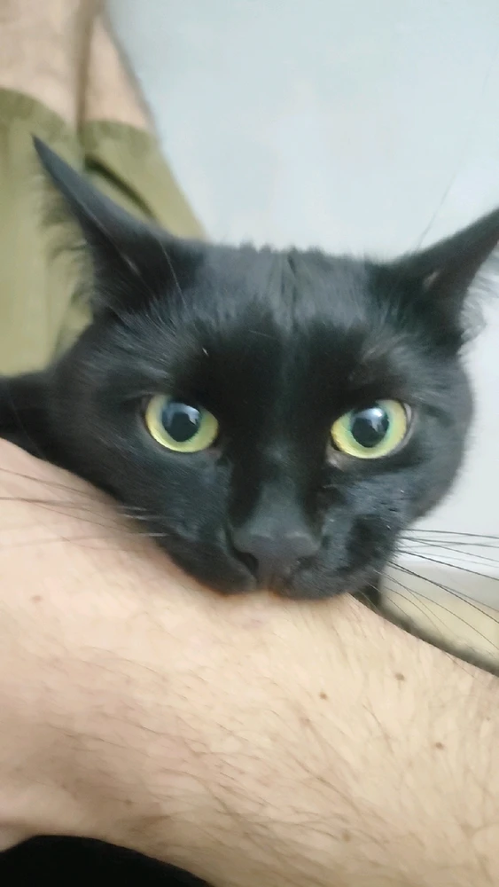 GIF diunggah dening Vlad