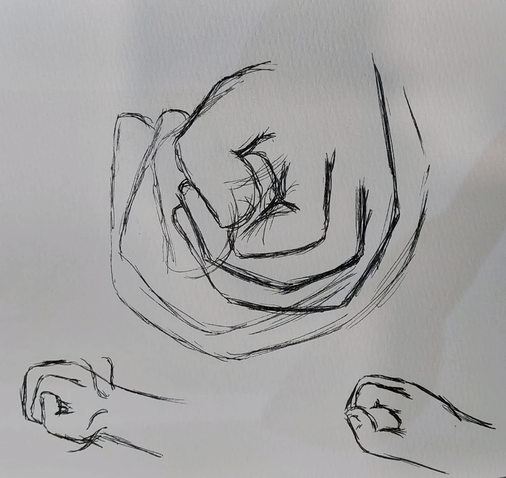 Gambar diunggah dening Rotem