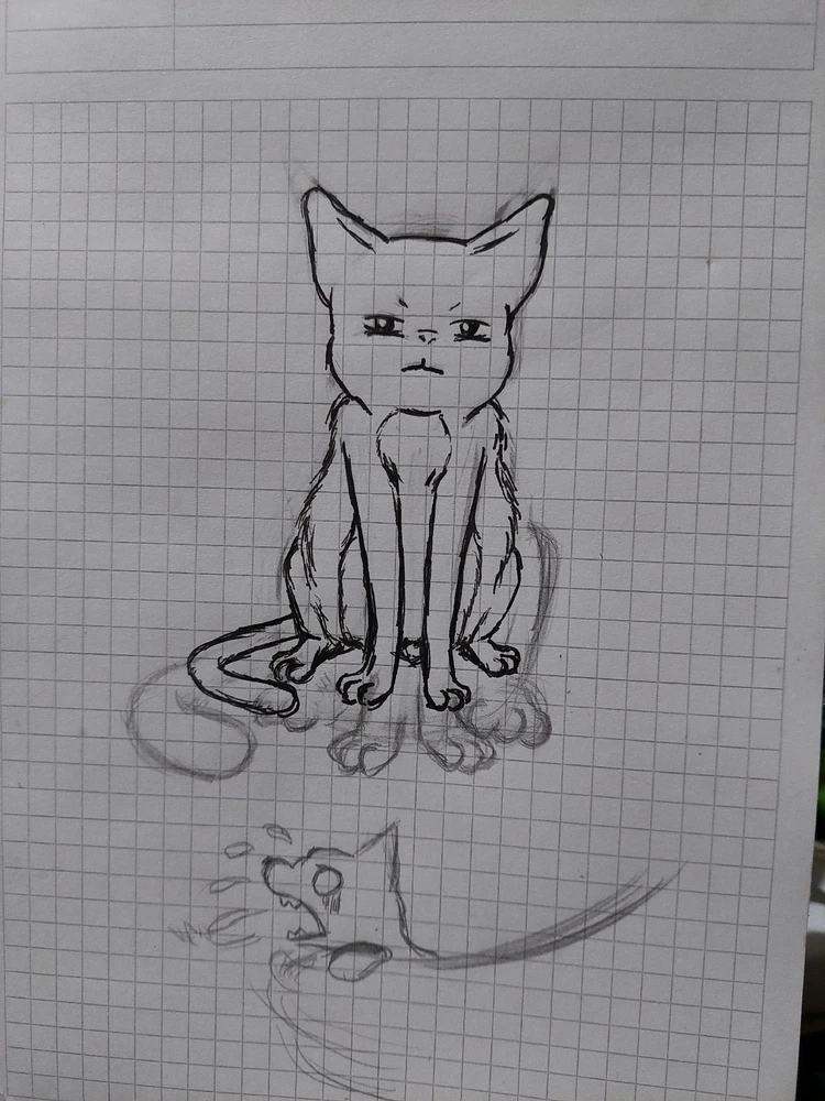 Gambar diunggah dening Rotem