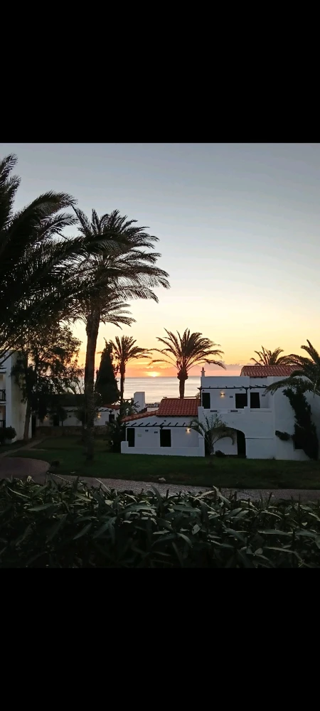 Image uploaded by Rich