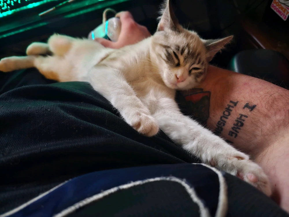 Gambar diunggah dening Chazz